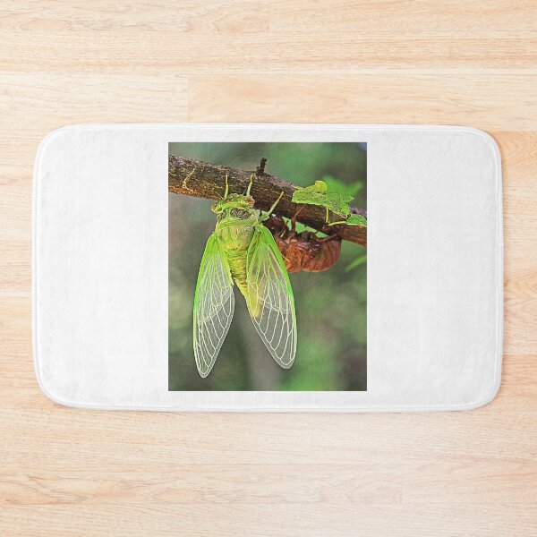 Item preview, Cicada Emerging from it's Shell designed and sold by searchlight.