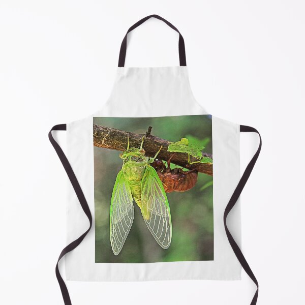 Item preview, Cicada Emerging from it's Shell designed and sold by searchlight.