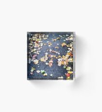 Autumn leaves Acrylic Block