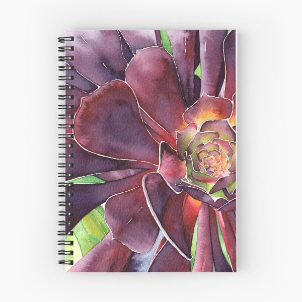 Aperçu de l'œuvre Succulent Aeonium violet créée et vendue par Gareth Massam.