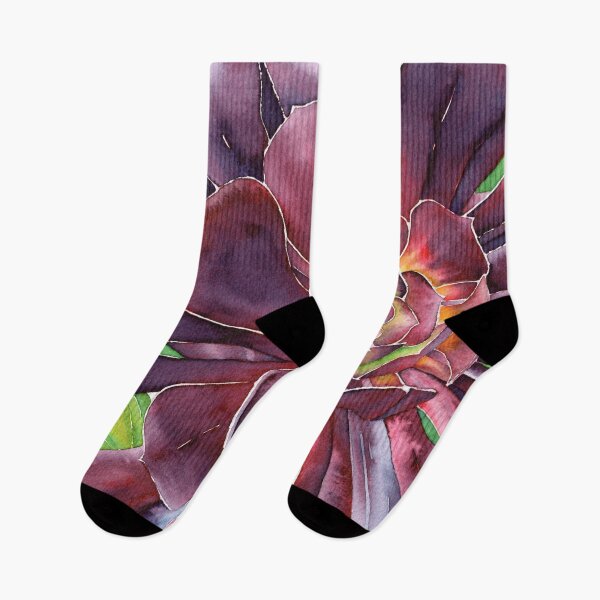 Item preview, Purple Aeonium succulent designed and sold by Gareth Massam.