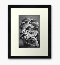 Laundry Room Framed Print