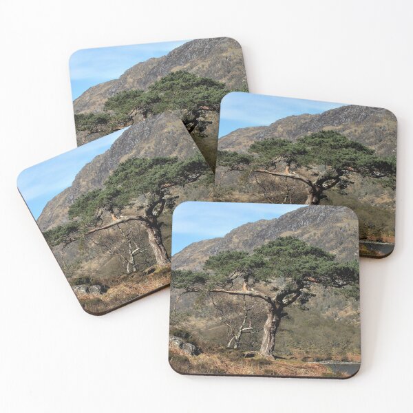 Item preview, The Old Scots Pine designed and sold by beavo.