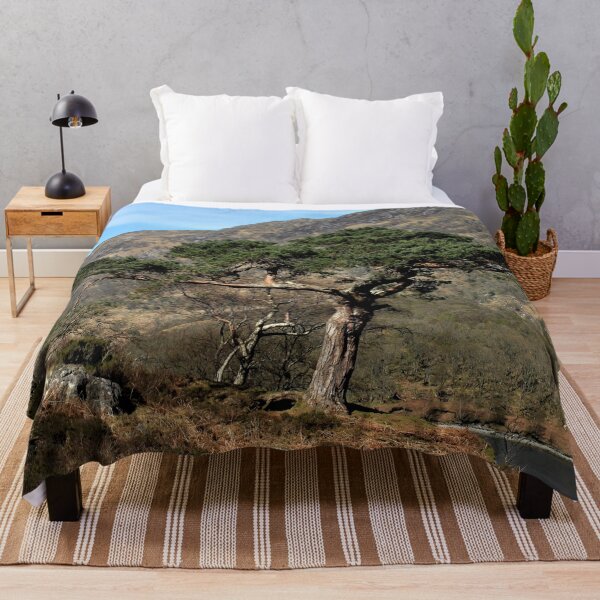 Item preview, The Old Scots Pine designed and sold by beavo.