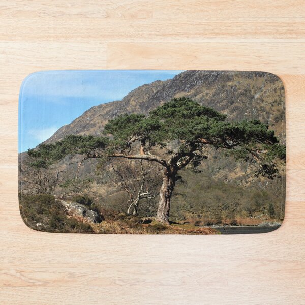 Item preview, The Old Scots Pine designed and sold by beavo.