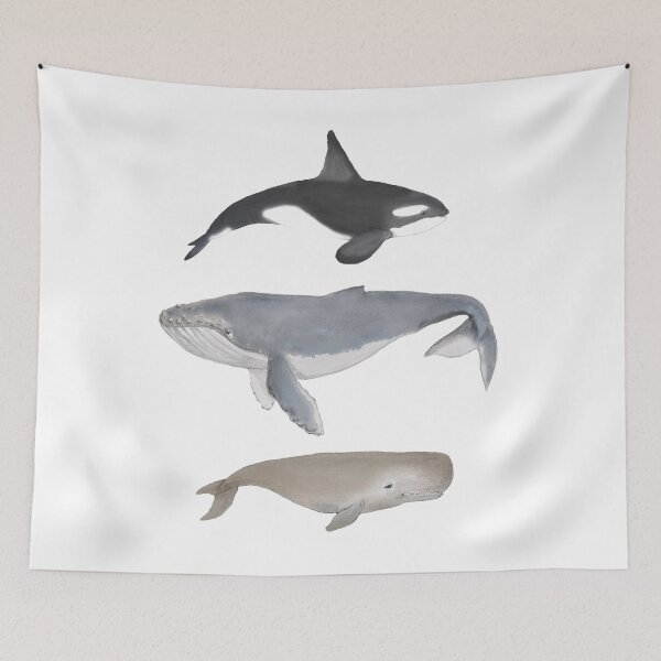 Item preview, whale whale whale. designed and sold by artonanisland.