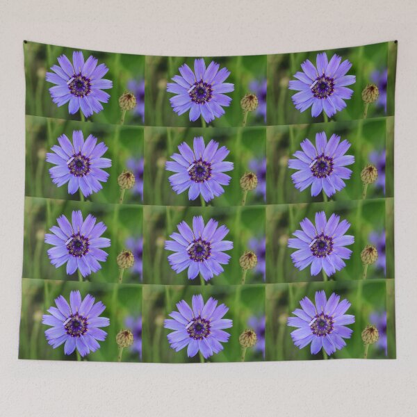 Item preview, Catananche Caerulea. designed and sold by John Ray.