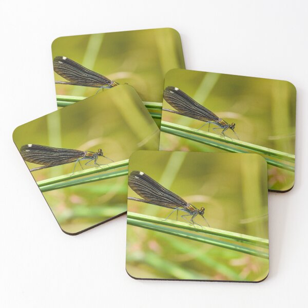 Item preview, Insect  designed and sold by Tasos Karamalakis.