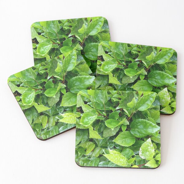 Item preview, Drak green leaf designed.  designed and sold by jK fashion world.