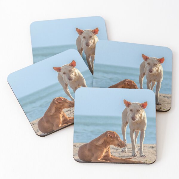 Item preview, Two homeless dogs on the beach designed and sold by Photopat.