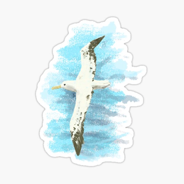 Albatross Sticker