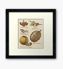 Clockwork Fruit Framed Print