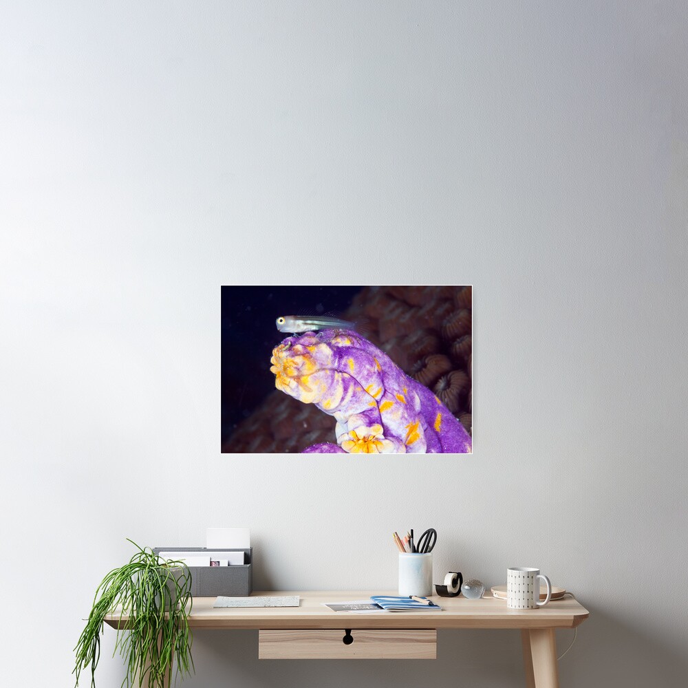 Master of his domain Poster