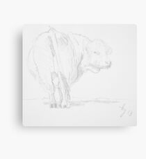 Cow Drawing Canvas Print