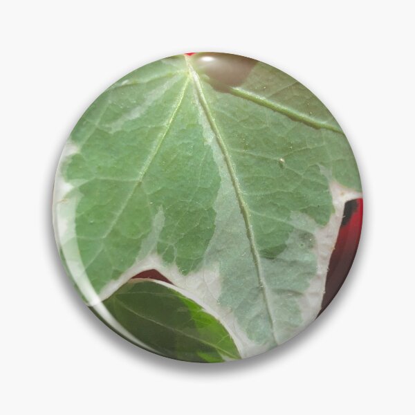 Item preview, English Ivy Plant Ladybug designed and sold by Kaushal Pal.