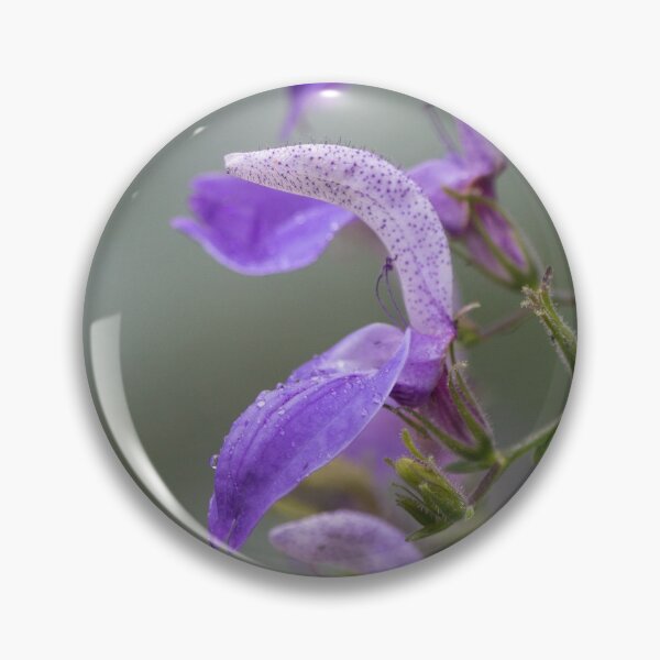 Item preview, Purple Flower designed and sold by dmlb photography.