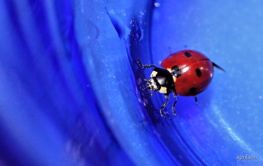 Blue's Clues Ladybug