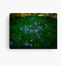 Love, Dream, Wish ~ Wild Camas ~ Canvas Print