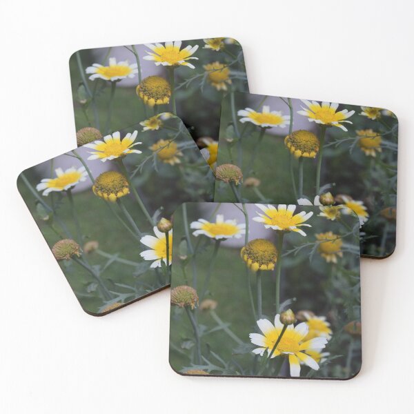 Artikelvorschau, Daisy Photography entworfen und verkauft von Linnys-Designs.