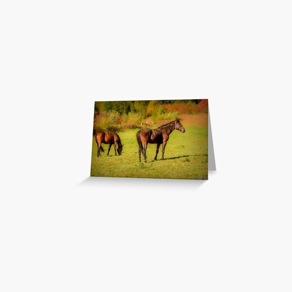 Item preview, Horses in Mabou designed and sold by kenmo.