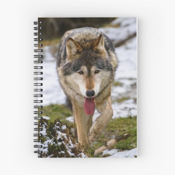 Item preview, Lone Wolf designed and sold by sjfreeman88.