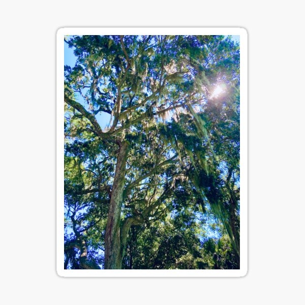 Item preview, Spanish Moss designed and sold by sealife17.
