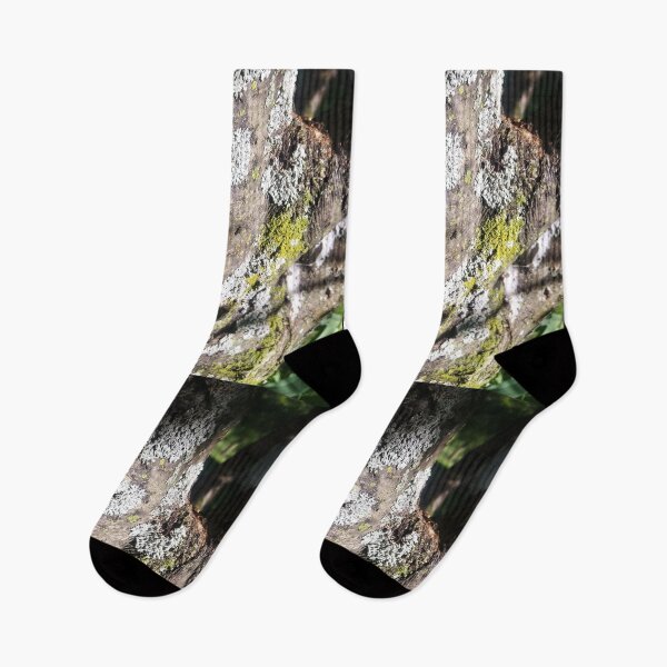 Item preview, Structure of Moss, Abstract Tree Texture by Courtney Hatcher designed and sold by cghatcherart.