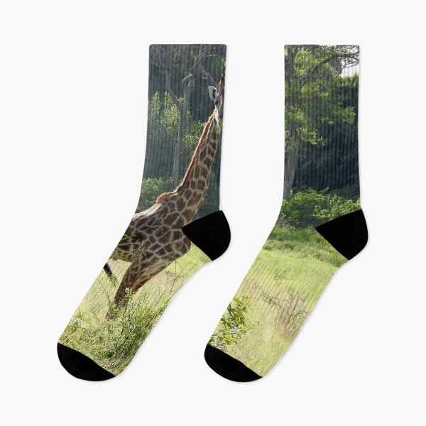 Item preview, Giraffe Looking at You in Serengeti, Tanzania designed and sold by Heaven-Earth.