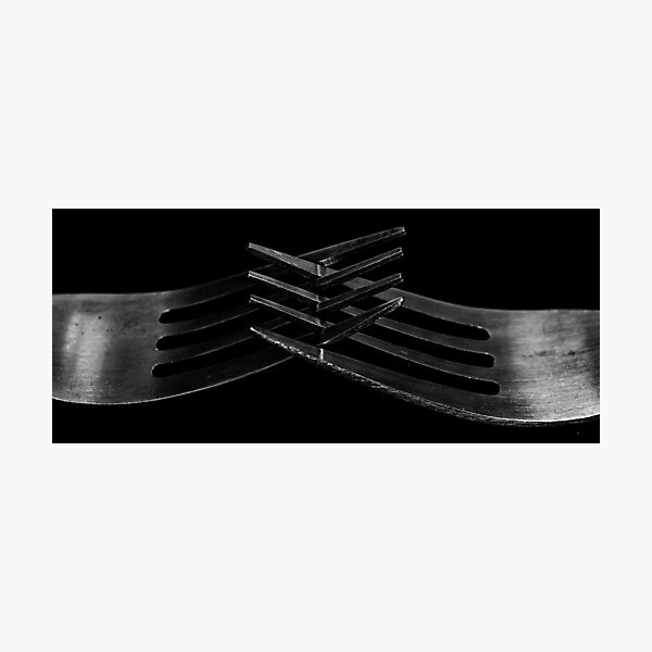 Romance of the Tines Photographic Print