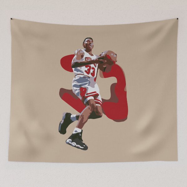 Item preview, NBA ilustrada - Scottie Pippen designed and sold by FranklinCo.