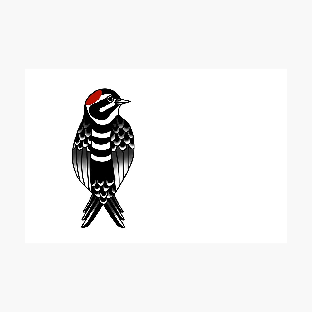 Traditional Woodpecker Tattoo Flash" Poster for Sale by HaileyCade