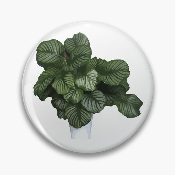 Item preview, I'm A Plant Mom - Calathea Orbifolia designed and sold by SierraDavis.