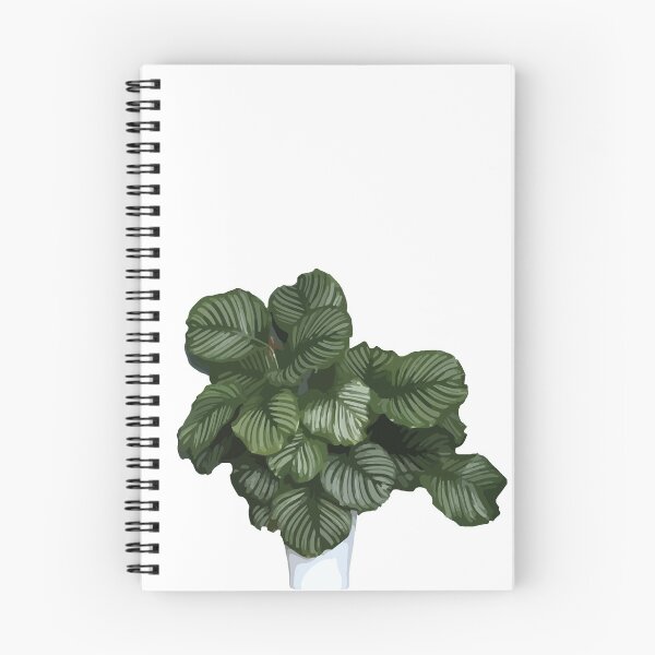 Item preview, I'm A Plant Mom - Calathea Orbifolia designed and sold by SierraDavis.