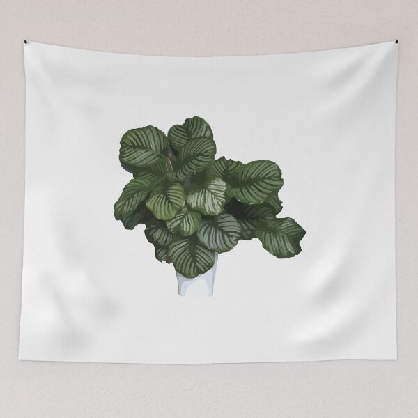 Item preview, I'm A Plant Mom - Calathea Orbifolia designed and sold by SierraDavis.