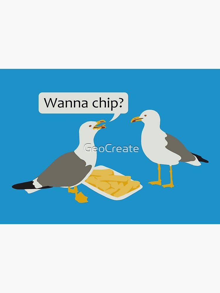 Gulls just want to have fun