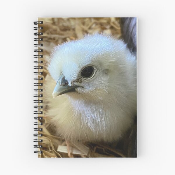 Item preview, Spring Chicken  designed and sold by LuccyLoou.