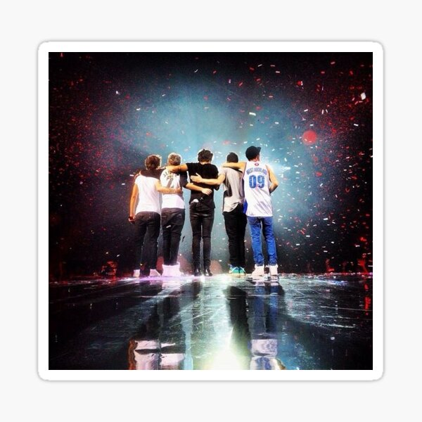 One Direction Concert Sticker