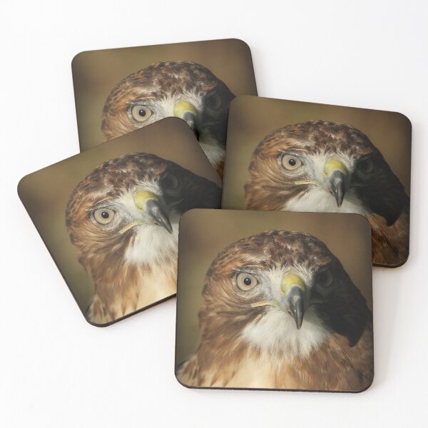 Item preview, Buzzard designed and sold by Jane Stanley Photography.