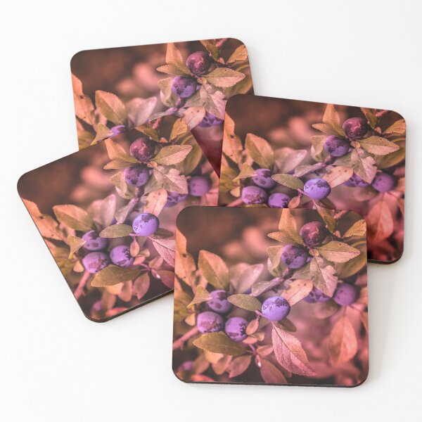 Item preview, Plum, fruit in photography designed and sold by Stéphane  Thirion.