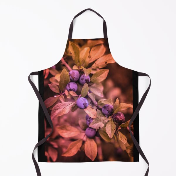 Item preview, Plum, fruit in photography designed and sold by Stéphane Thirion.