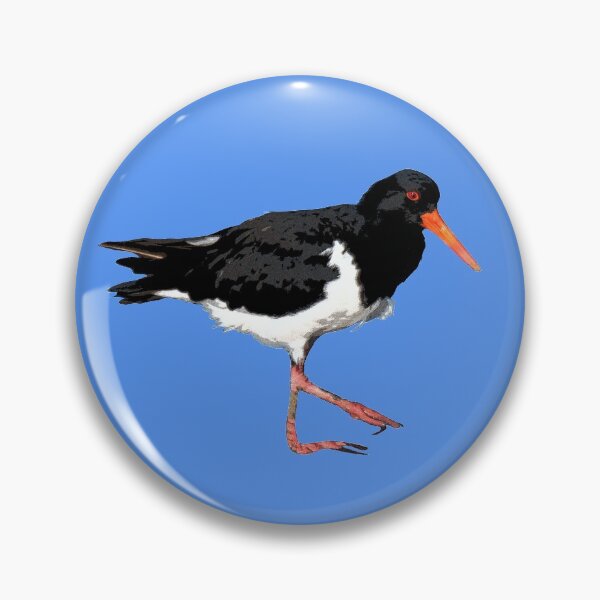 Item preview, American Oystercatcher Color Print  designed and sold by designsasstultd.
