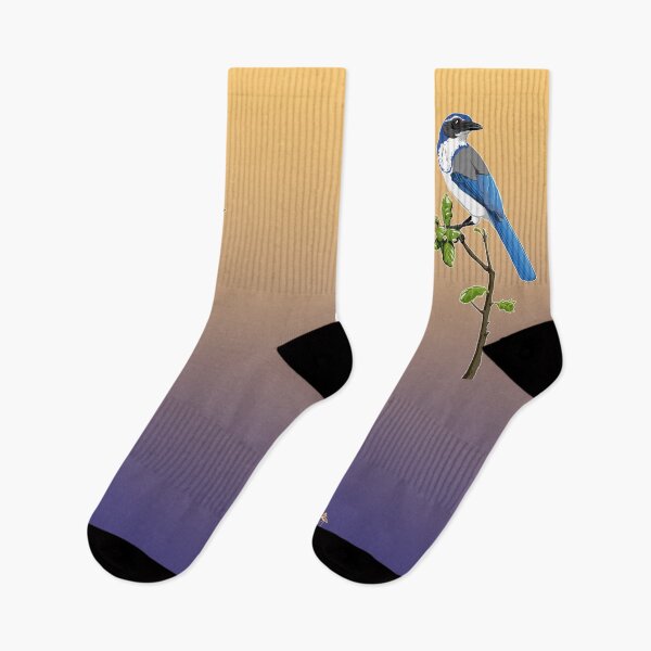 Item preview, California Scrub-Jay designed and sold by BennuBirdy.