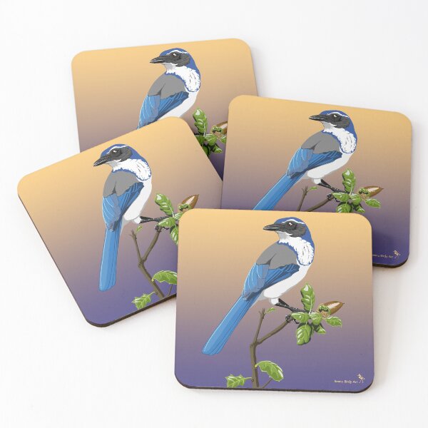 Item preview, California Scrub-Jay designed and sold by BennuBirdy.