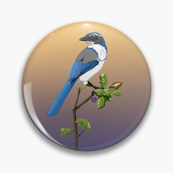 Item preview, California Scrub-Jay designed and sold by BennuBirdy.