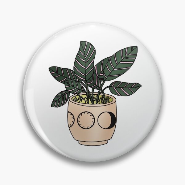 Item preview, Calathea Ornata Plant designed and sold by Emma Chainani.