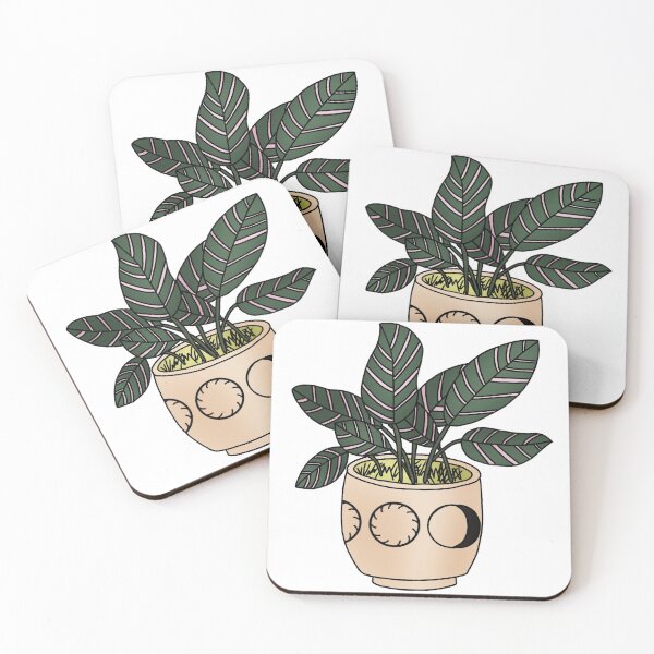 Item preview, Calathea Ornata Plant designed and sold by Emma Chainani.