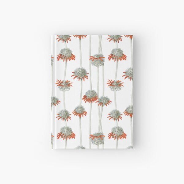 Lion's ear | Leonotis nepetifolia in white Hardcover Journal