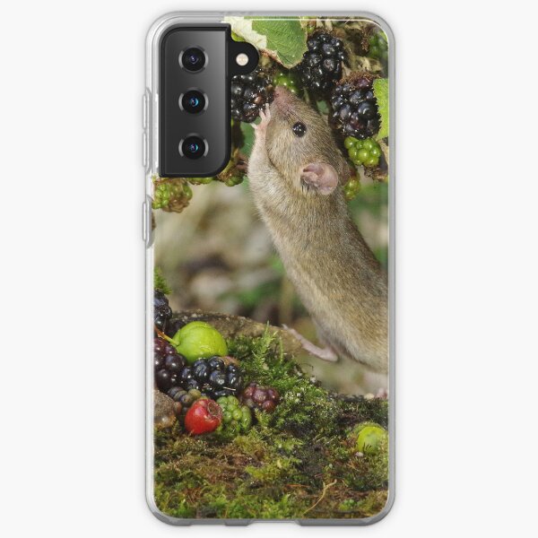 Little mouse nibbling the brambles Samsung Galaxy Soft Case