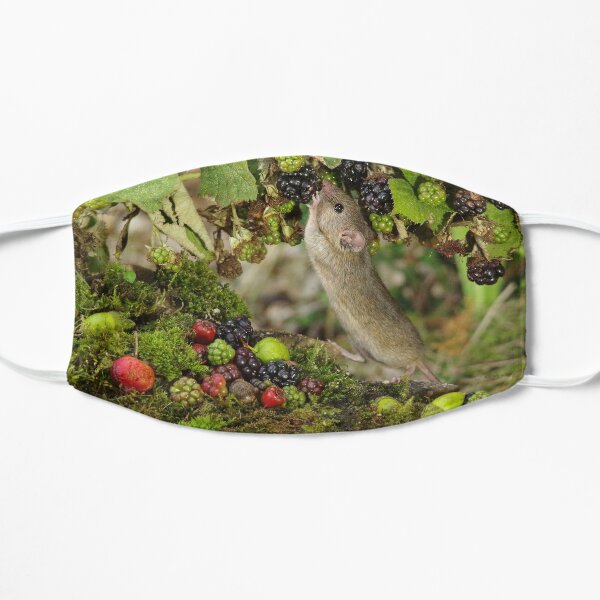 Little mouse nibbling the brambles Flat Mask