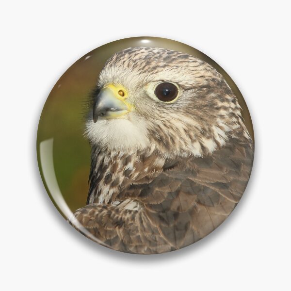 Item preview, Gyrfalcon designed and sold by Jane Stanley Photography.